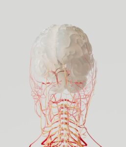 The Invisible Side of the Iceberg: How Does Our Brain Work When We Make Decisions? The Invisible Side of the Iceberg: How Does Our Brain Work When We Make Decisions?